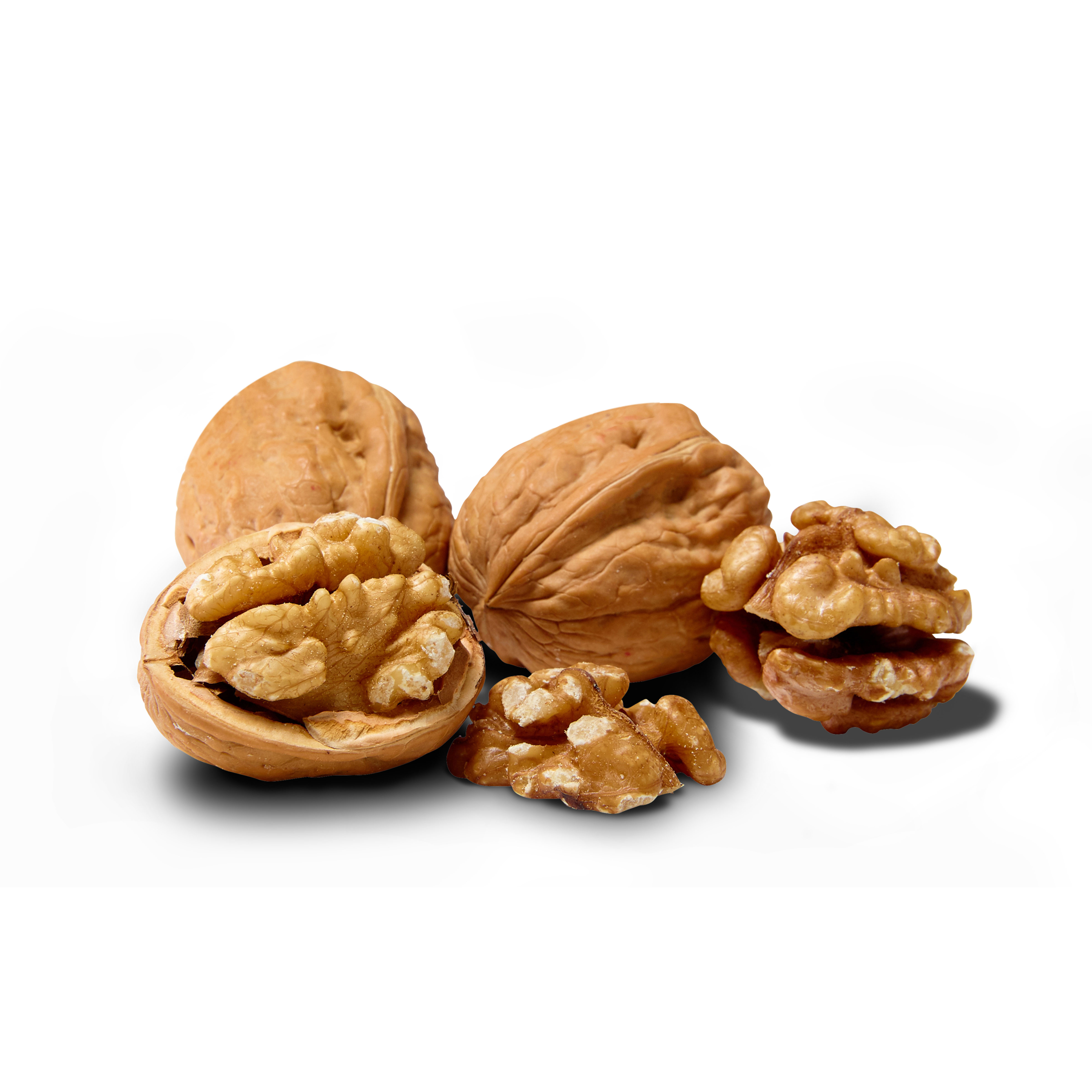 FNOZES / WALNUT