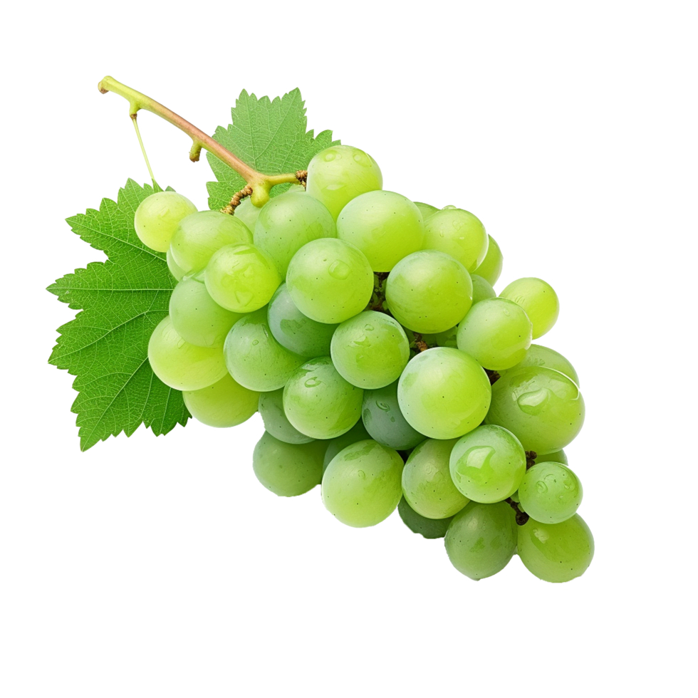 FUVA / GRAPES