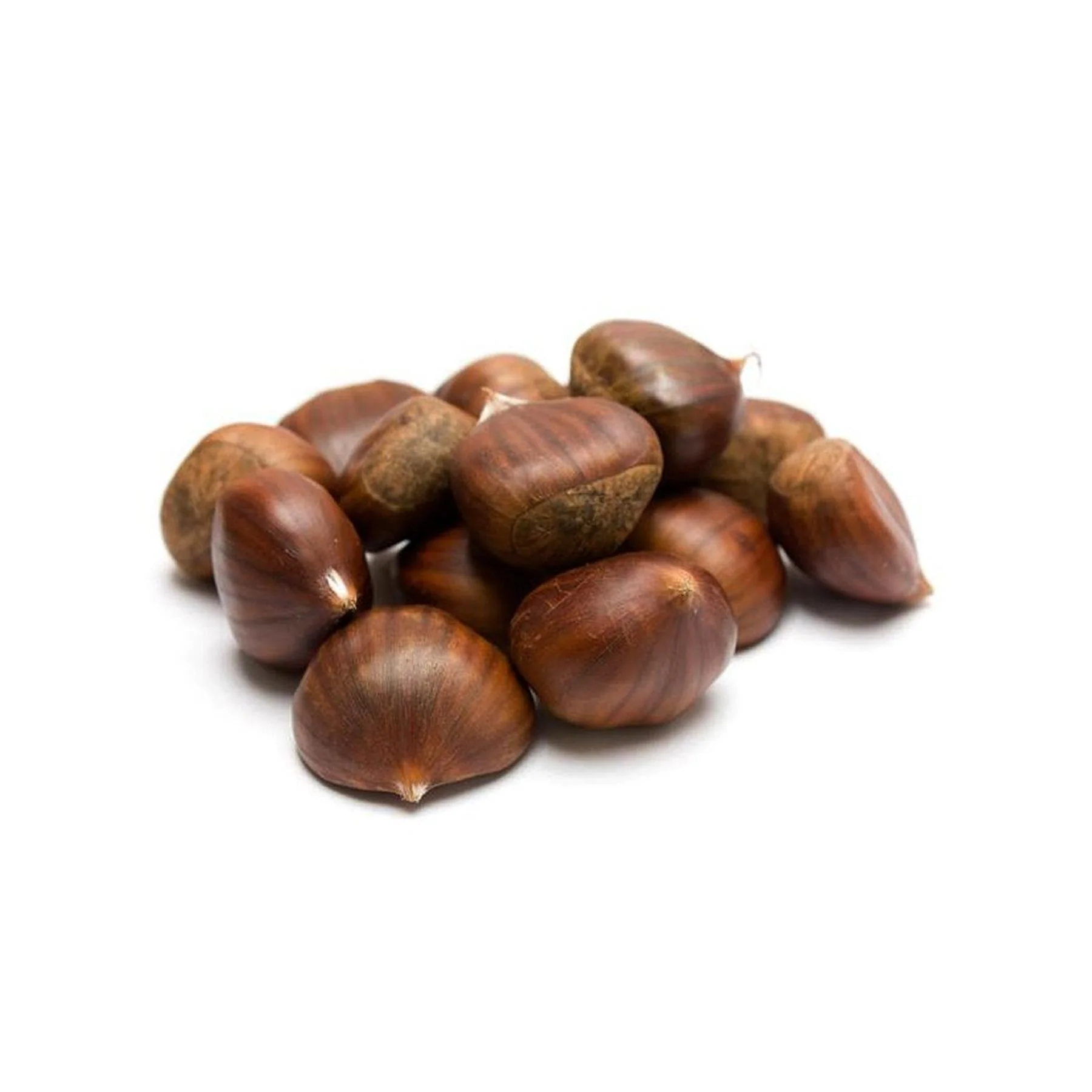 FCASTINA 