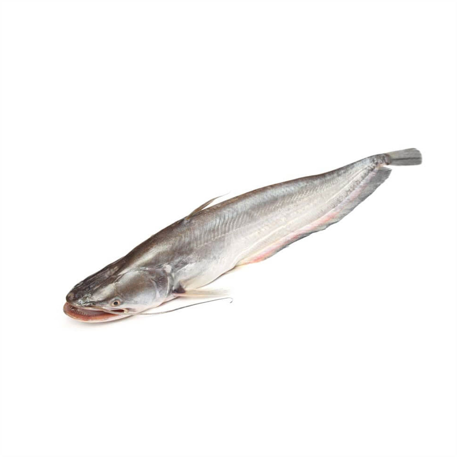 BOAL FISH BACHELOR PACK 900G